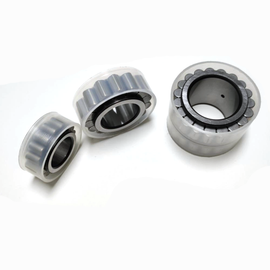 F-238540.RNN Cylindrical Roller Bearings